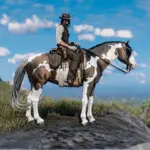Bay-Skewbald-Norfolk-Roadster-A-True-Western-Beauty2-scaled-1