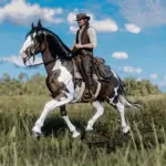 Bay-Skewbald-Norfolk-Roadster-A-True-Western-Beauty5-scaled-1