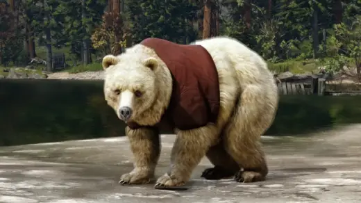 Bear-Shirt-1024x576-1