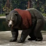 Bear-Shirt3-scaled-1