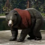 Bear-Shirt4-scaled-1