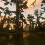 Beta-Swamp-Trees4