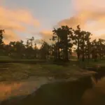 Beta-Swamp-Trees5