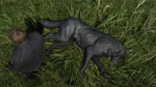Black-Wolf-1024x550-1