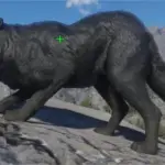 Black-Wolf2