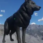 Black-Wolf4
