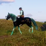 Black-and-Blue-glow-effect-Horse-Coat2