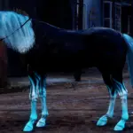 Black-and-Blue-glow-effect-Horse-Coat4