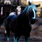 Black-and-Blue-glow-effect-Horse-Coat5