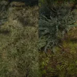 Blackwater-Terrain-Textures-Overhaul3