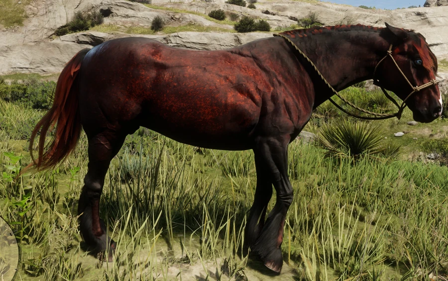 Buell (Liver Chestnut) V1.0