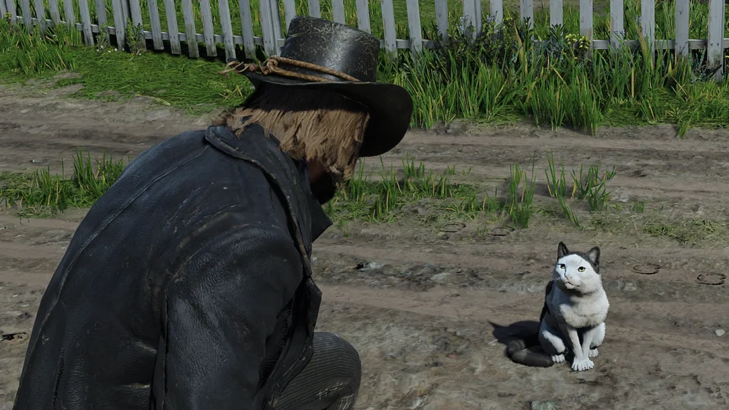 Cats Redemption V1.0