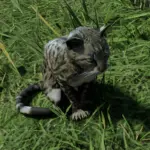 Cats-Redemption3