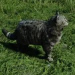 Cats-Redemption5