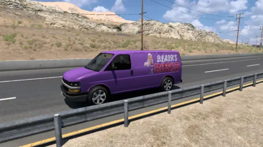 Chevrolet Express Traffic Van