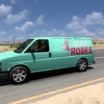 Chevrolet Express Traffic Van3