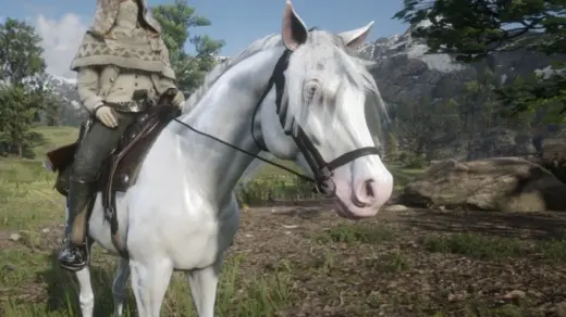 Custom-White-Arabian-1024x576-1