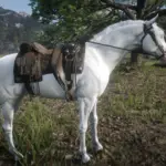 Custom-White-Arabian2