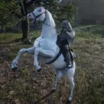 Custom-White-Arabian4