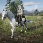 Custom-White-Arabian5