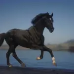 Dareshuri-Horse-Breed