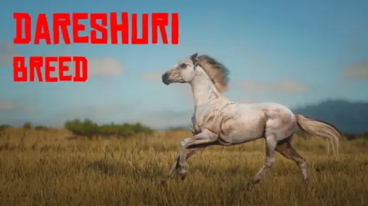 Dareshuri-Horse-Breed5-1024x576-1