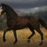 Dark-Horse2