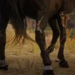 Dark-Horse4