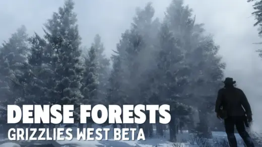 Dense-Forests-Grizzlies-West-1024x576-1