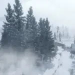 Dense-Forests-Grizzlies-West2