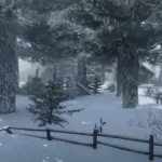 Dense-Forests-Grizzlies-West3