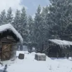 Dense-Forests-Grizzlies-West4