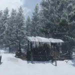 Dense-Forests-Grizzlies-West5