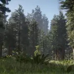 Dense-Tall-Trees3