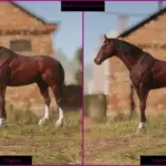 English-Thoroughbred2-scaled-1