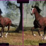 English-Thoroughbred3-scaled-1