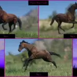 English-Thoroughbred4-scaled-1