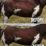 Equine-Texture-Improvements3