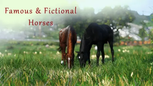 Famous-and-Fictional-Horses-1024x576-1