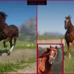 Famous-and-Fictional-Horses5-scaled-1