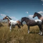 Foals-and-Fillies-for-Roleplaying2-scaled-1