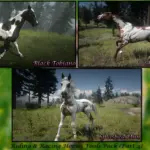 Foals-and-Fillies-for-Roleplaying5-scaled-1