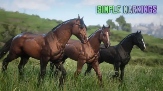French-Italian-Spotted-Draft-Community-Horse-Breed-1024x576-1