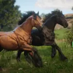 French-Italian-Spotted-Draft-Community-Horse-Breed3
