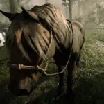 Gang-Horses-for-player