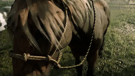 Gang-Horses-for-player