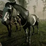Gang-Horses-for-player3