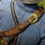 Gold-Buckles-SPURS-UPDATE2