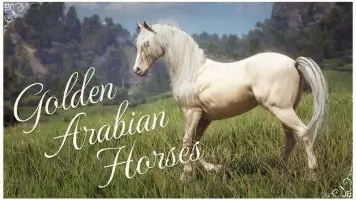Golden-Arabian-Horses-1024x584-1
