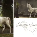 Golden-Arabian-Horses2-scaled-1